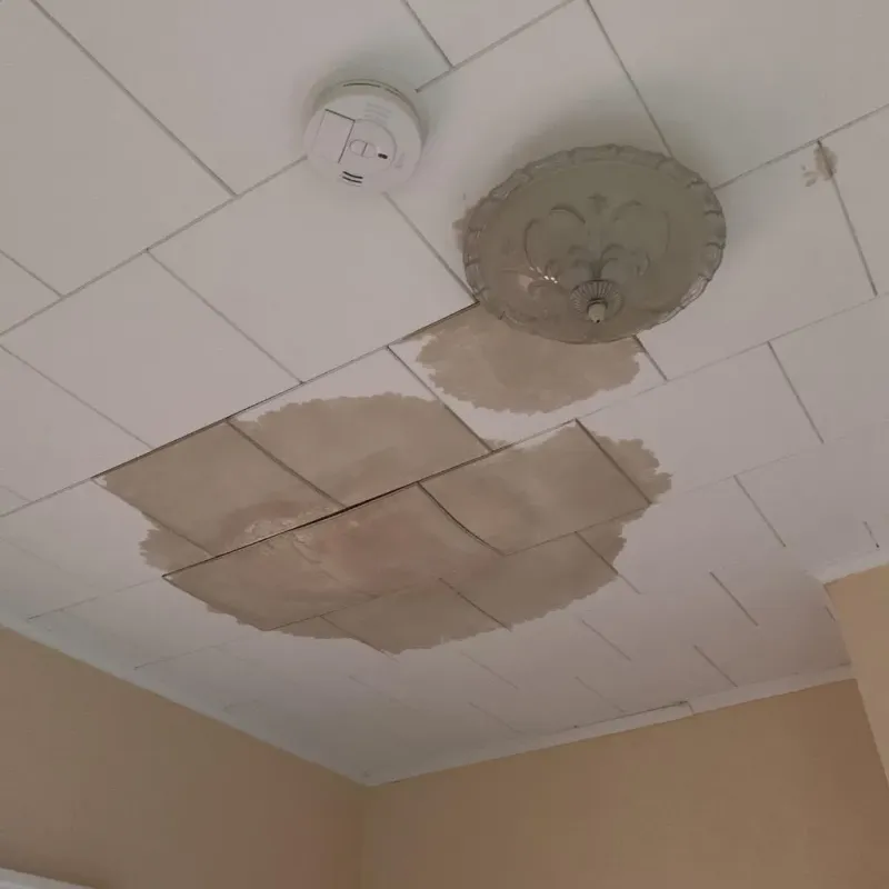 Ceiling Water Damage Repair in Wartburg, TN