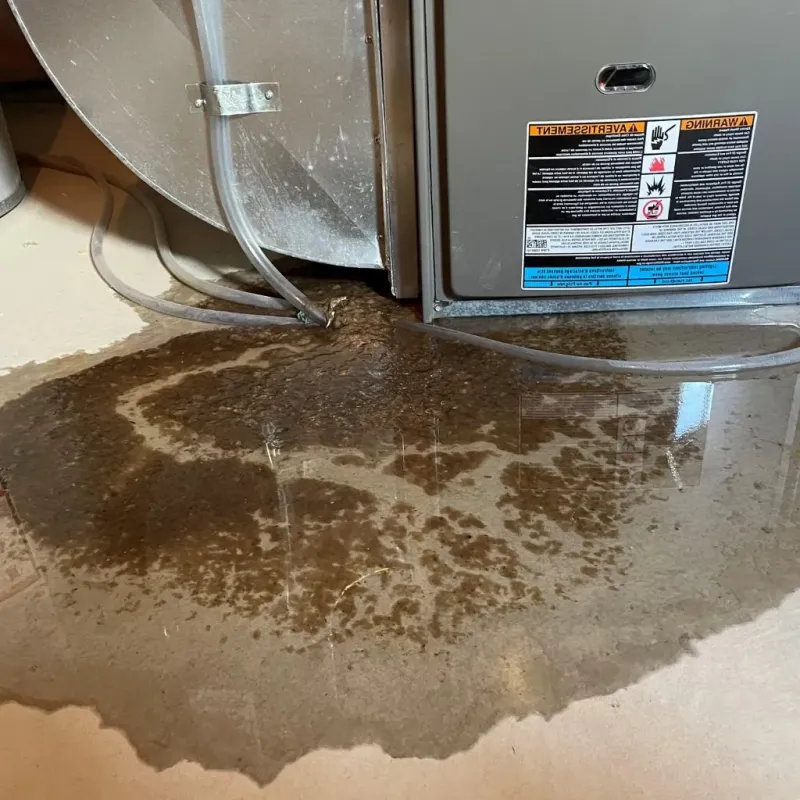 Pipe Burst and Leak Restoration in Wartburg, TN