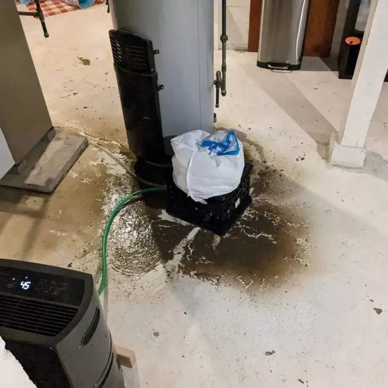 Sewage Backup Cleanup Service in Wartburg, TN